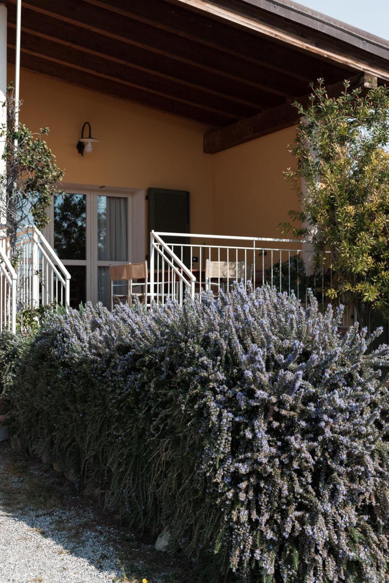 Agriturismo Podere L'Agave San Vincenzo Exterior photo
